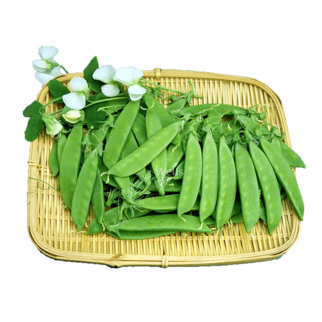 荷蘭豆配送蔬菜配送粵崗蔬菜配送