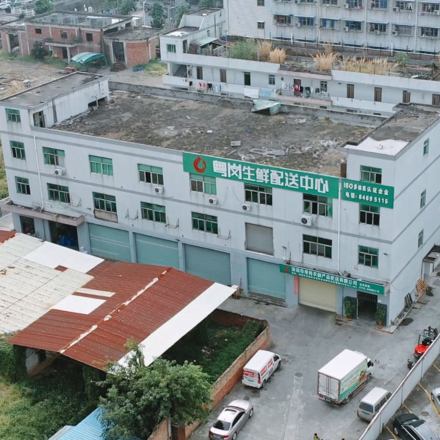 廠房公司環境粵崗蔬菜配送