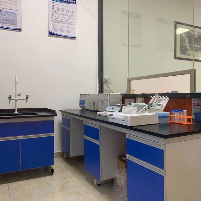 檢測室4公司環境粵崗蔬菜配送